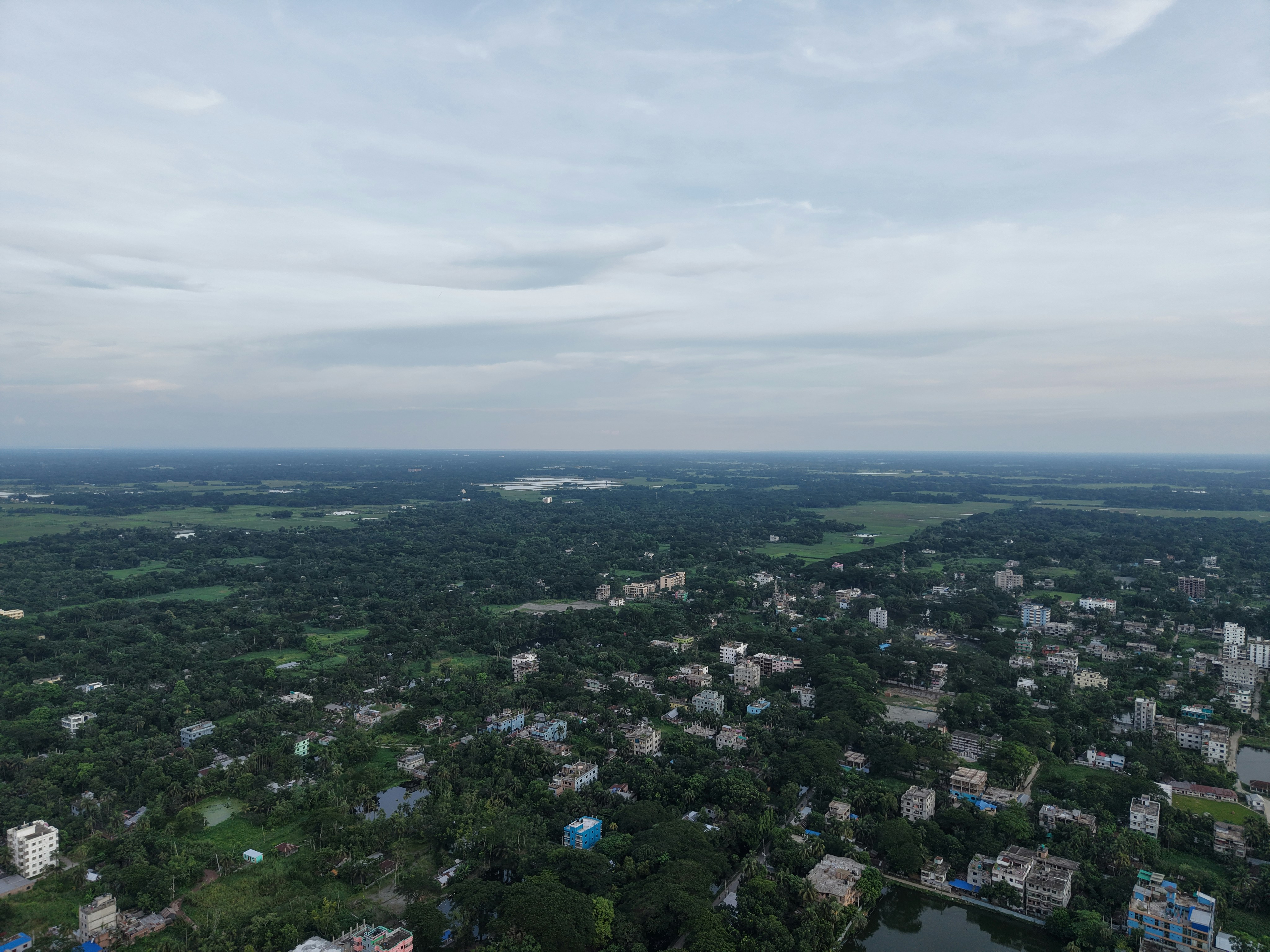 A drone view of the green city.