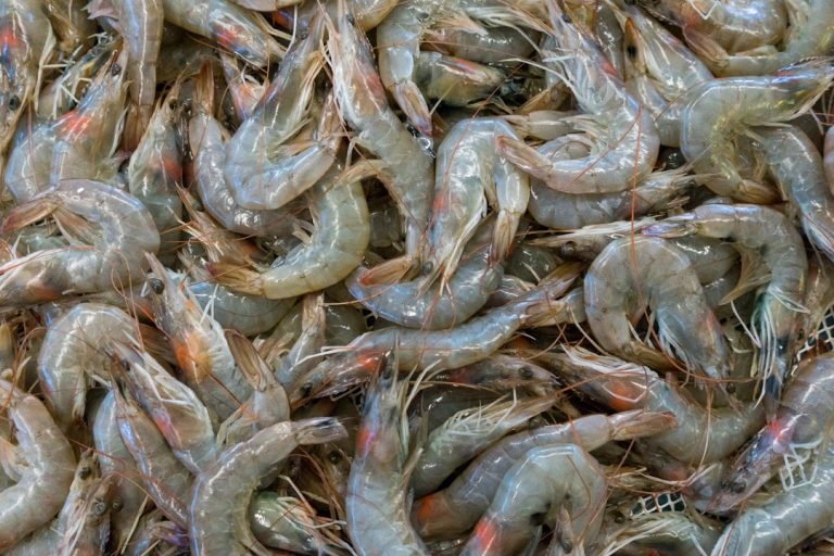 Featured image for Whats the Real Difference Between Lowcountry Southern Food in Jacksonville